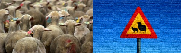 Makna 10 Hari Pertama bln DzulHijjah