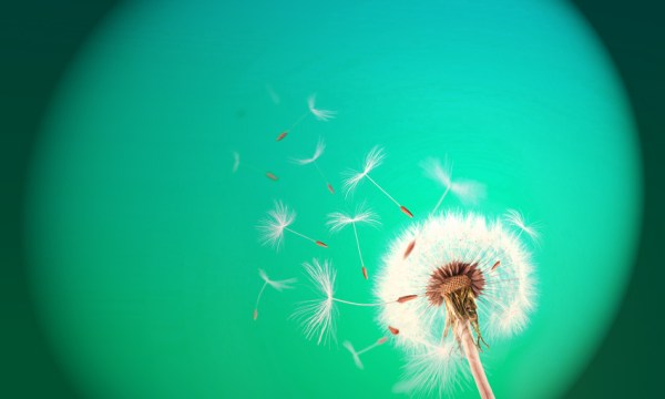 Sebab Lemahnya Kaum Muslimin